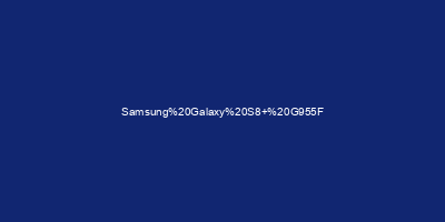 Samsung Galaxy S8+ G955F